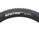 Newton MTR Enduro Tubeless Complete 29" Folding Tyre - black/29x2.4