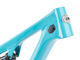 SB120 TURQ Carbon 29" Frameset - turquoise/L