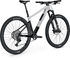FOCUS Bici de montaña Raven 8.8 Carbon 29" Modelo 2023 - light grey-carbon raw/L