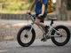 Belter 16" Kids Bike - brushed aluminium/universal