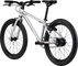 Bicicleta para niños Belter 20" - brushed aluminium/universal