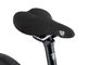Bicicleta para niños Belter 20" - brushed aluminium/universal