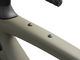Specialized Vélo de Gravel Diverge Comp Carbon 28" Modèle 2024 - oak green-smoke/54 cm