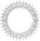 Garbaruk Thread Mount Chainring for SRAM XX/XX SL PM 3 mm Round - silver/36/36 