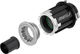 NEWMEN Freilaufkörper für FADE Road HR-Nabe - black/Campagnolo N3W/Campagnolo N3W