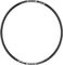 DT Swiss E 532 Disc 29" Felge - schwarz/32/29"