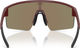 Bliz P004 Sports glasses - matte burgundy | brown-rose multicolor
