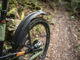 Zefal Schutzblech Deflector RS75 - schwarz