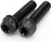 77designz Boulon titane Ti M5x20 - black | 20 mm