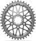 absoluteBLACK Oval 1x AXS SRAM Gravel Direct Mount 8 Schrauben Kettenblatt - titanium | 40 | 40 Z