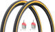 Specialized Turbo Cotton Hell of the North Latex Bundle - black transparent/28 "/28 mm/28-622