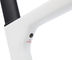 Factor OSTRO Gravel V.A.M. Disc T47a Shimano Kit de cuadro de carbono - white grunge/54 cm, 100 mm x 38 cm, SB 0 mm