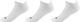 GripGrab Classic No Show Summer Socks 3-Pack - white/41 - 44