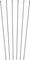 DT Swiss Speichenkit für HX 1501 SPLINE® 30 27,5" - schwarz/285 mm, 286 mm, 287 mm
