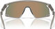 Oakley Gafas BXTR - matte grey ink | prizm ruby