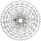 Campagnolo Cassette Ekar GT 13 velocidades - silver/10-48