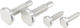 OAK Components CPA/EPA Screws for Root-Lever Pro - raw