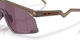 Oakley Gafas BXTR - matte brown smoke | prizm road black