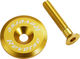 REVERSE Components Ahead Kappe - gold