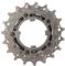 Campagnolo Steel Sprocket for Super Record / Record / Chorus 11-speed - silver/13 tooth
