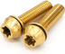 77designz Boulon titane Ti M5x20 - gold | 20 mm