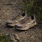 adidas Outdoor TERREX Anylander Wanderschuhe - brooxi lbrown dbrown | 44 2/3 | 10