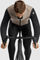 ASSOS Veste Mille GT Hashoogi Winter S11 - dune sand/XL