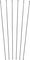 DT Swiss Spoke Kit for PR 1600 DICUT® 21 - black/279 mm, 284 mm, 286 mm
