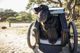 Thule Hundebett für Bexey - gray | L