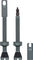 Peaty's Chris King Edition MK2 Tubeless Ventil 2er-Set - slate/SV 60 mm