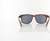 Alpina Lunettes de Sport Kosmic - havana mat | black