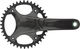 Campagnolo Ekar Gruppe 13-fach 40 mit Scheibenbremse - schwarz/Campagnolo N3W/9-42/Campagnolo N3W/172,5 mm/ohne/ohne