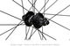 Zipp 302 Disc Center Lock Carbon Clincher Laufrad - matte white/28" HR 12x142 SRAM XDR