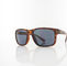 Alpina Lunettes de Sport Kosmic - havana mat | black