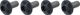 SILCA Titanium Bottle Cage Bolts Torx - black