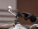 Quad Lock Vibrationsdämpfer - black