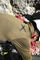 Zimtstern Sudadera con capucha Tech Hoodz - military olive-pirate black | M