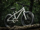 EARLY RIDER Seeker X 16" Kinderfahrrad - brushed aluminium/16"