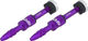 e*thirteen Valve Tubeless Quick Fill - 2 pièces - eggplant/SV 23-31 mm