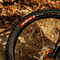 Vittoria Peyote XC Trail TLR 29" pneu pliant - schwarz | 2.6 | 29 | 65-622