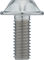 SILCA Titanium Bottle Cage Bolts Torx - titanium