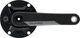 QUARQ DFour DUB Powermeter Carbon Crank - black/175,0 mm