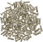 DT Swiss Cabecillas de latón 2,0 mm - 100 unidades - plata/14 mm