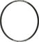 DT Swiss H 552 Disc 29" Rim - black/32/29"