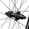 Black Inc Juego de ruedas gravel Forty Six Carbon Disc Center Lock 28" - silver | Non Boost | 100 mm | SRAM XDR | 28" | 142 mm