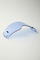 Fox Head Ersatzglas für Vue Goggle - blue