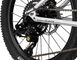 EARLY RIDER Vélo pour Enfant Seeker 20" - brushed aluminium/20"