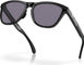 Oakley Frogskins Range Brille - matte black | prizm grey