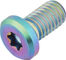 77designz Ti Bolt Titanium Bolt - oilslick/M6x11
