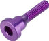 Burgtec Schraube für Top Cap Ahead Kappe - purple rain